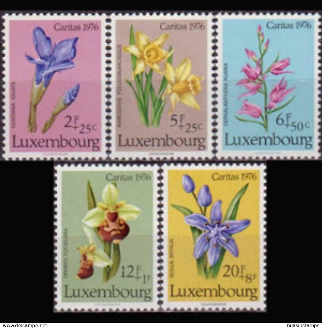 LUXEMBOURG 1976 - Scott# B308-12 Flowers Set Of 5 MNH - Unused Stamps