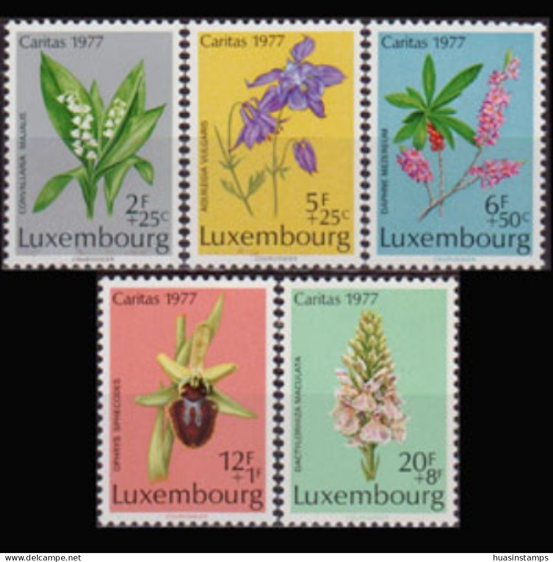 LUXEMBOURG 1977 - Scott# B313-7 Flowers Set Of 5 MNH - Ungebraucht