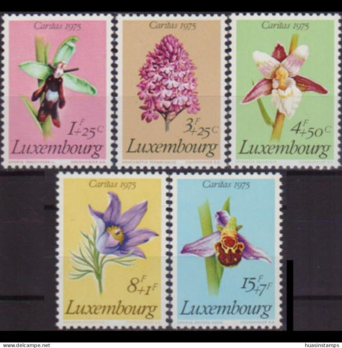 LUXEMBOURG 1975 - Scott# B303-7 Flowers Set Of 5 MNH - Neufs