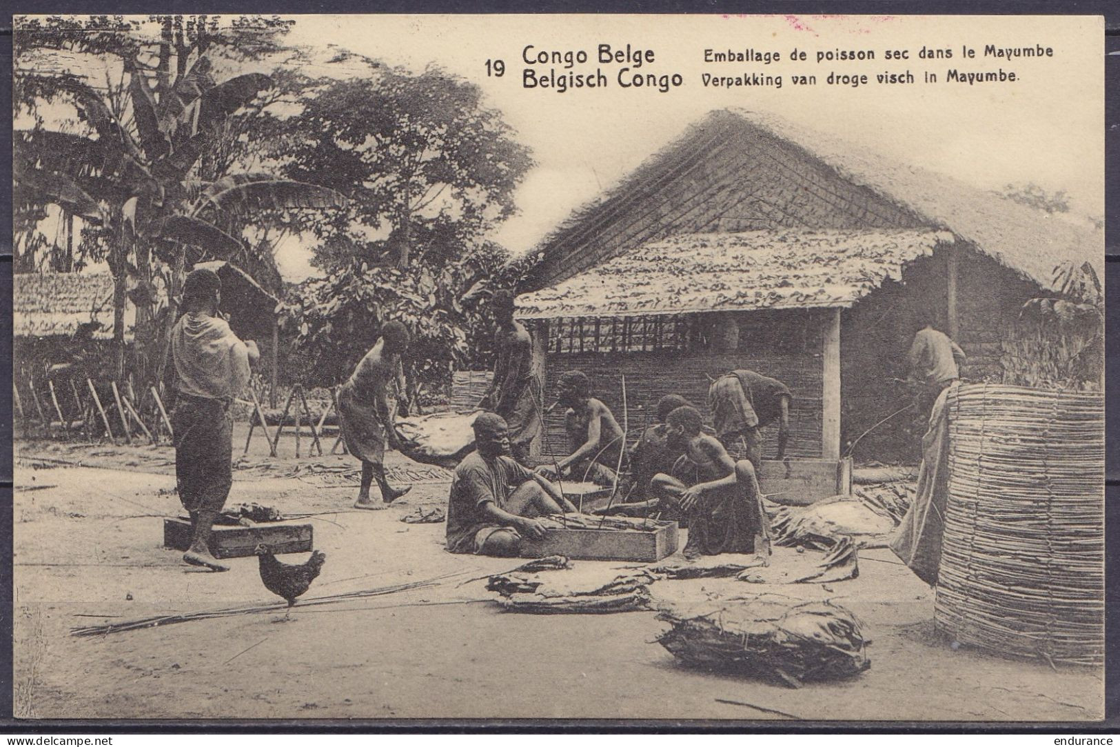 Congo Belge - EP CP 5c Vert "poisson Sec Dans Le Mayumbe" Càd UVIRA /9 JANV 1915 Pour Administrateur Territorial à LUKON - Interi Postali