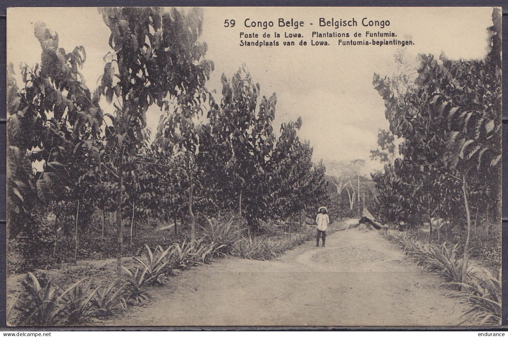 Congo Belge - EP CP 10c Rouge-brun "Poste De La Lowa, Plantations De Funtumia" Càd KAMBOVE /? JUIN 1913 Pour BRUXELLES - - Entiers Postaux
