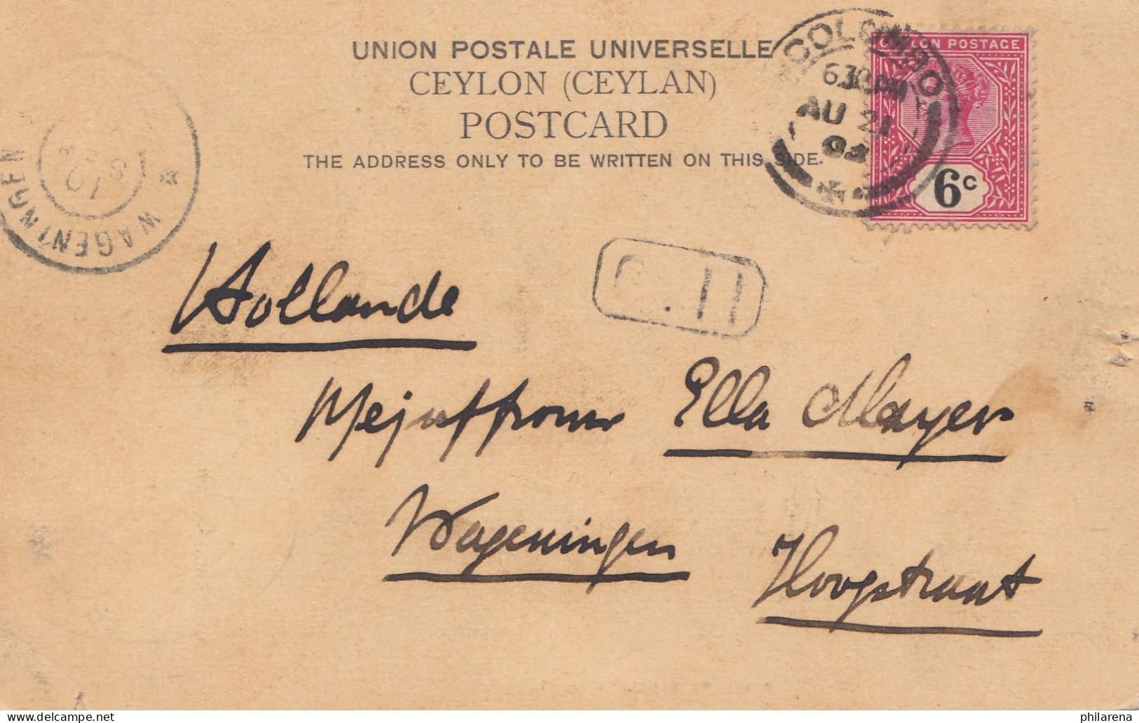 Ceylon: 1905: Post Card Colombo To Hollande - Sri Lanka (Ceylan) (1948-...)
