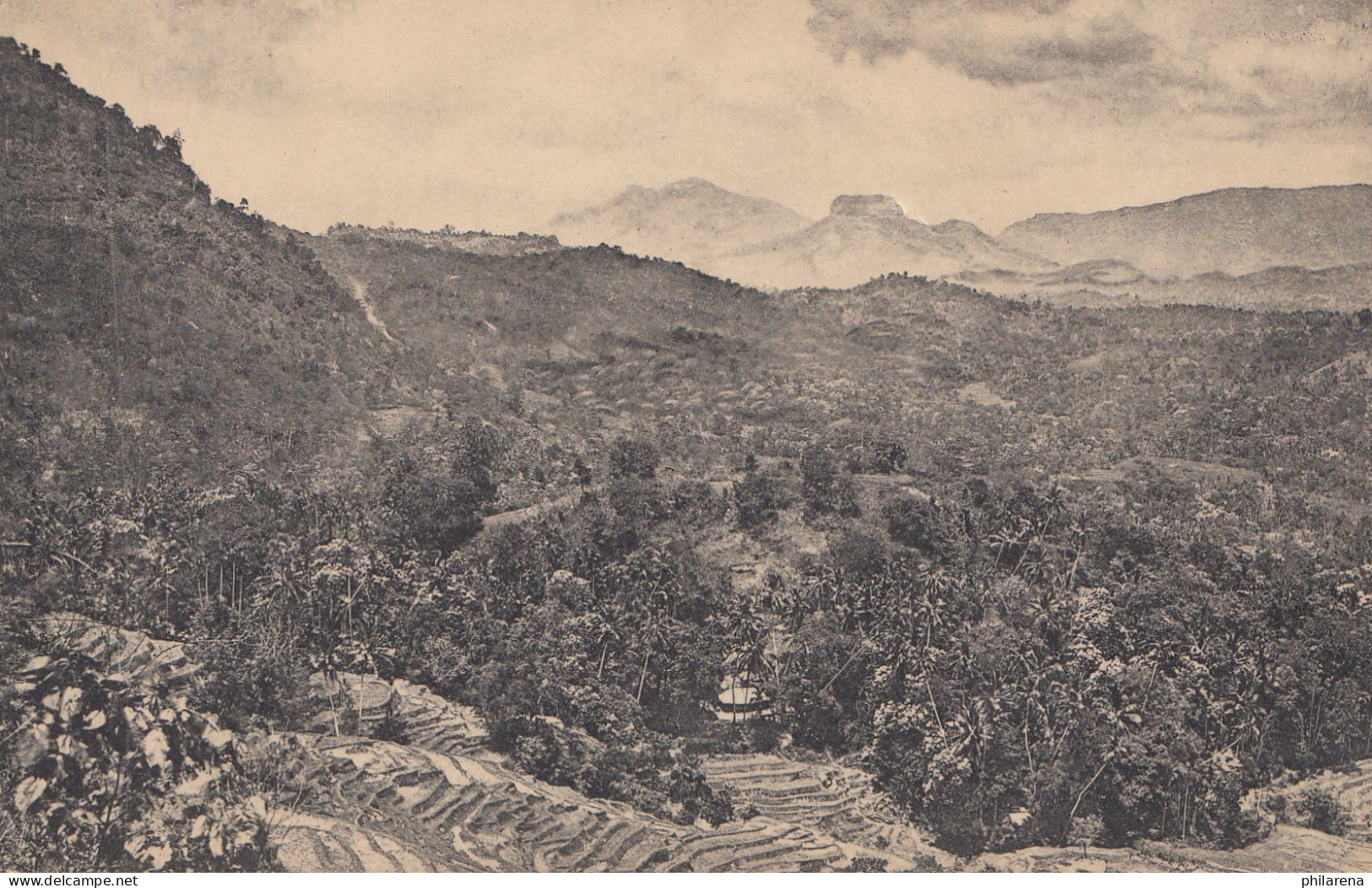 Ceylon: 1921: Picture Post Card  - Sri Lanka (Ceylan) (1948-...)