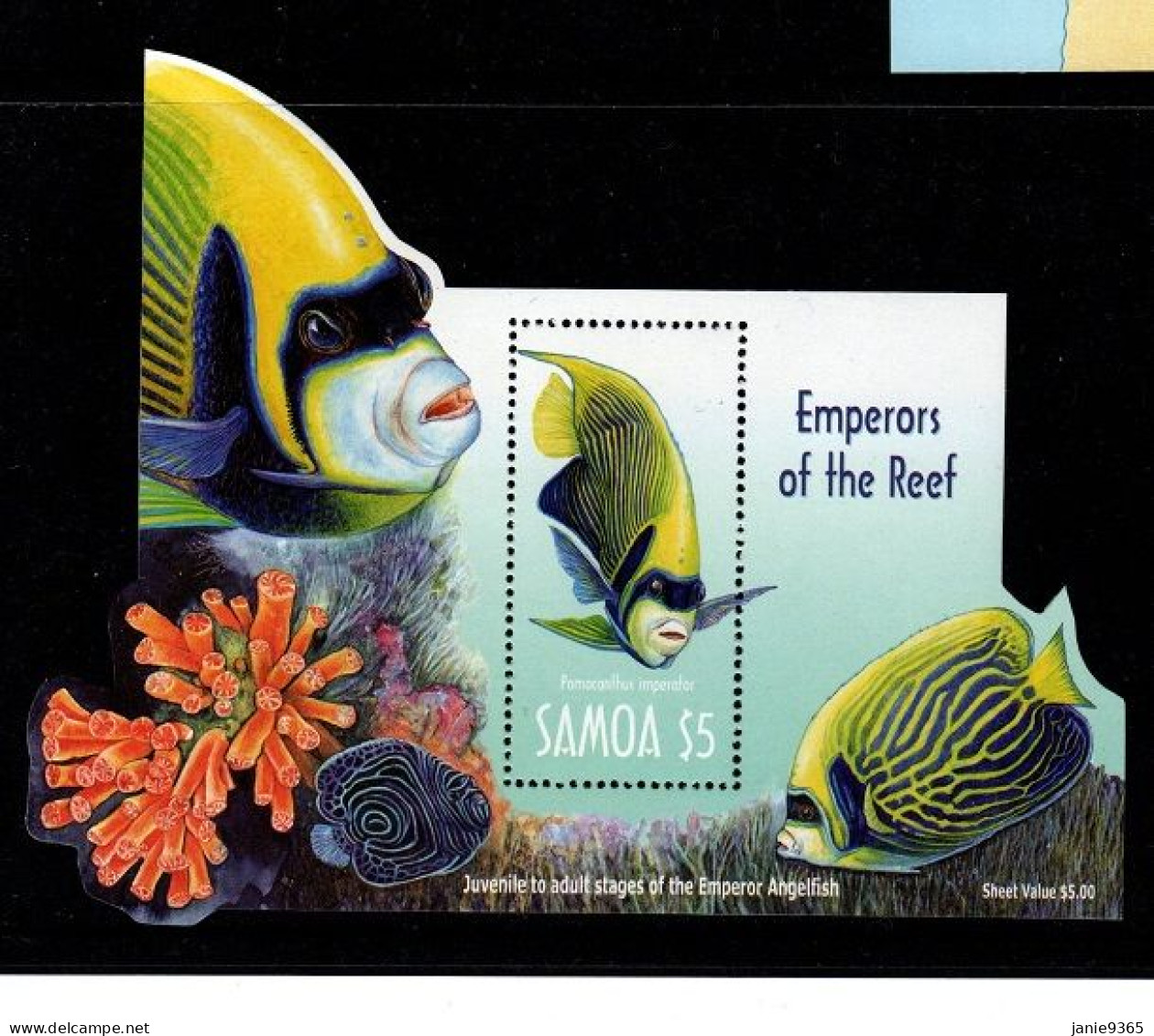 Samoa Scott  1048a  2003 Angelfish Miniature Sheet  Mint Never Hinged - Ungebraucht