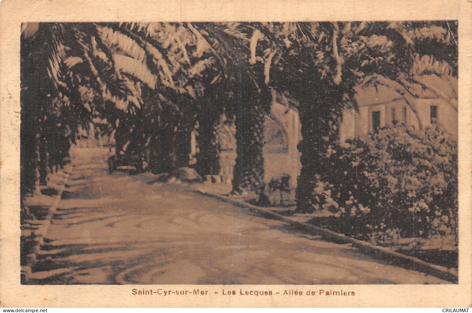 83-SAINT CYR SUR MER-N°T5218-D/0325 - Saint-Cyr-sur-Mer