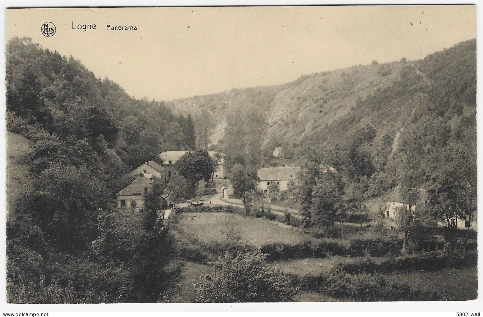 FERRIERES-LOGNE : Panorama - Ferrieres