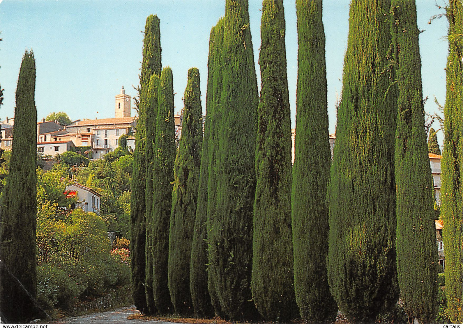 06-MOUGINS-N°3927-D/0197 - Mougins