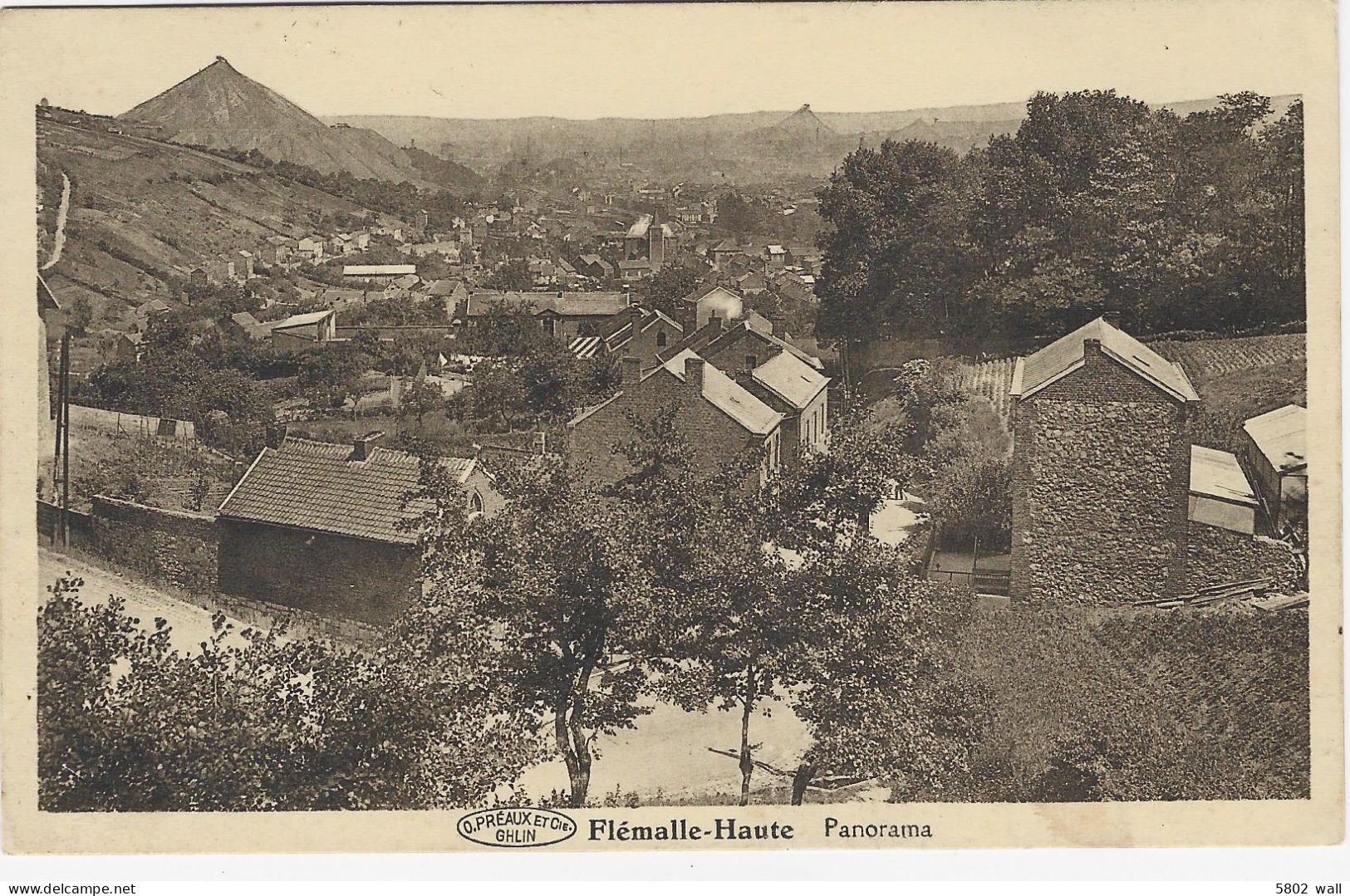 FLEMALLE HAUTE : Panorama - Flémalle