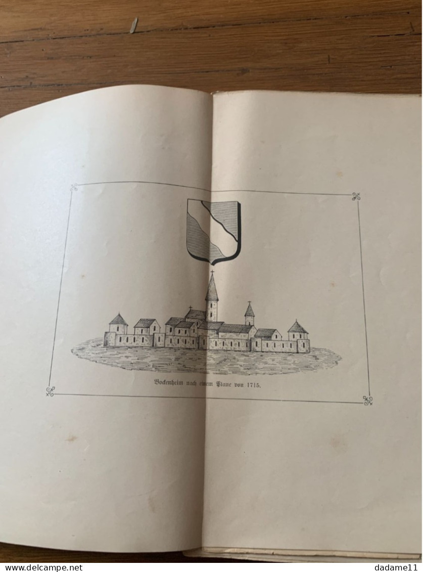 Histoire De La Ville De Sarre Union Par Joseph Lévy 1898 - Libri Vecchi E Da Collezione