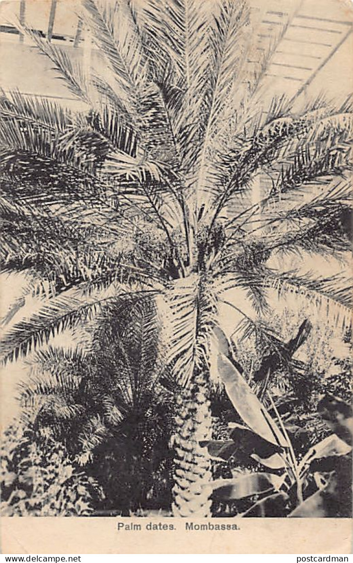 Kenya - MOMBASA - Palm Dates - Publ. Felix Coutinho  - Kenia