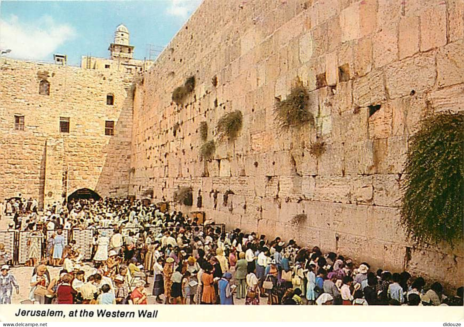 Israel - Jérusalem - Wailing Wall - Mur Des Lamentations - CPM - Carte Neuve - Voir Scans Recto-Verso - Israele