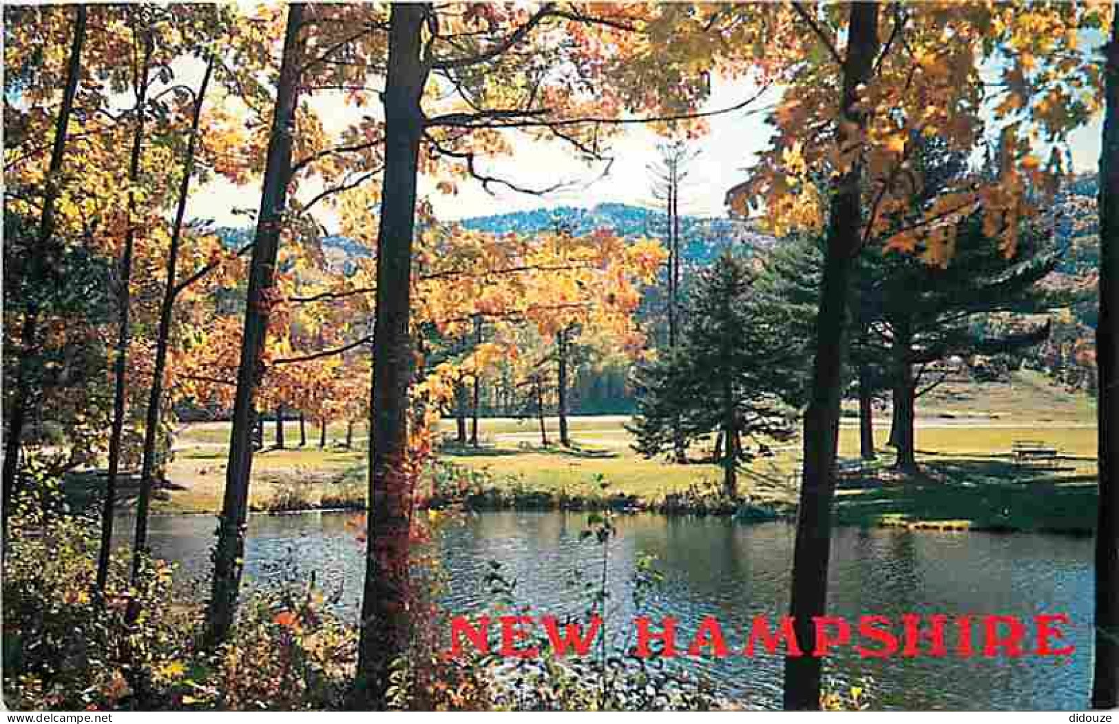 Etats Unis - Gunstock - Gilford - Autumns Colors - CPM - Voir Scans Recto-Verso - Andere & Zonder Classificatie