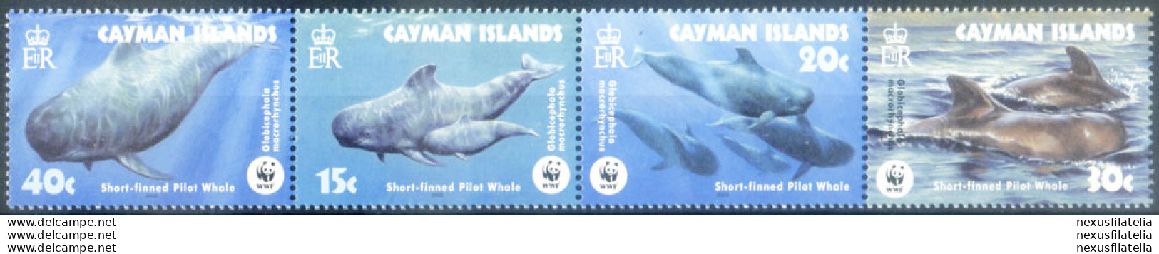 Fauna. WWF. Balene 2003. - Caimán (Islas)