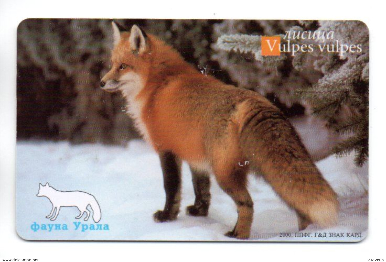 Renard Vulpes Animal  Télécarte Puce Russie Phonecard ( K 53) - Russie