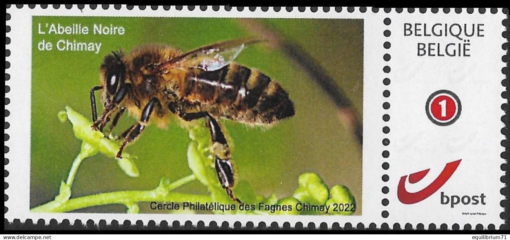 DUOSTAMP** / MYSTAMP** - L'abeille Noire De Chimay - Cercle Philatélque Des Fagnes Chimay - 2023 - Abeilles