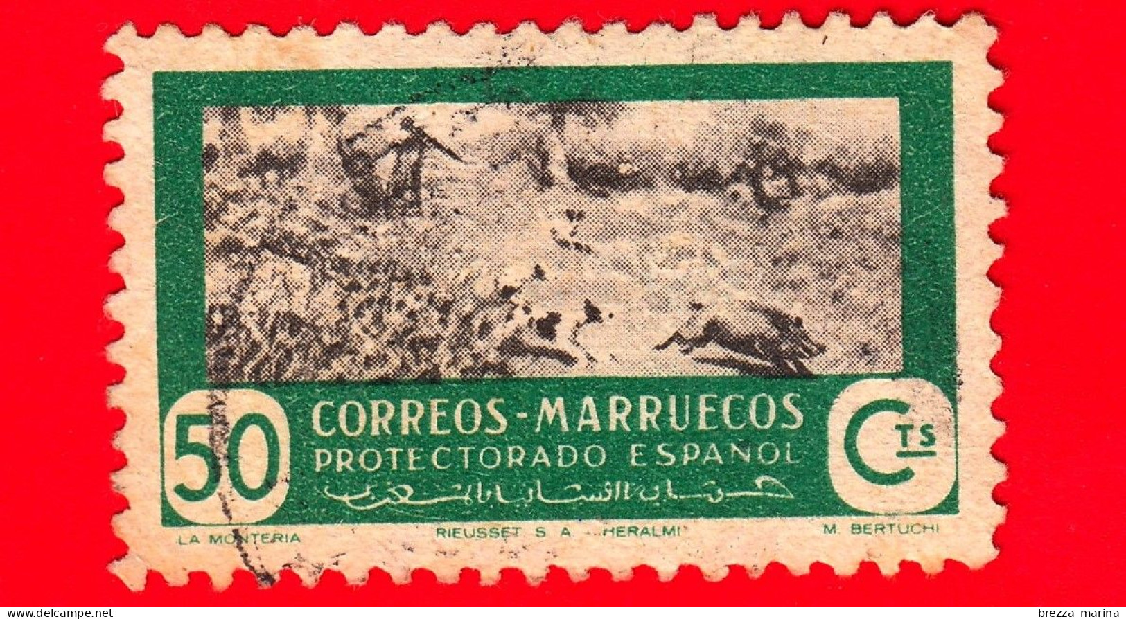 MAROCCO - Usato - Marruecos - 1951 - Caccia Al Cinghiale - 50 - Marocco Spagnolo