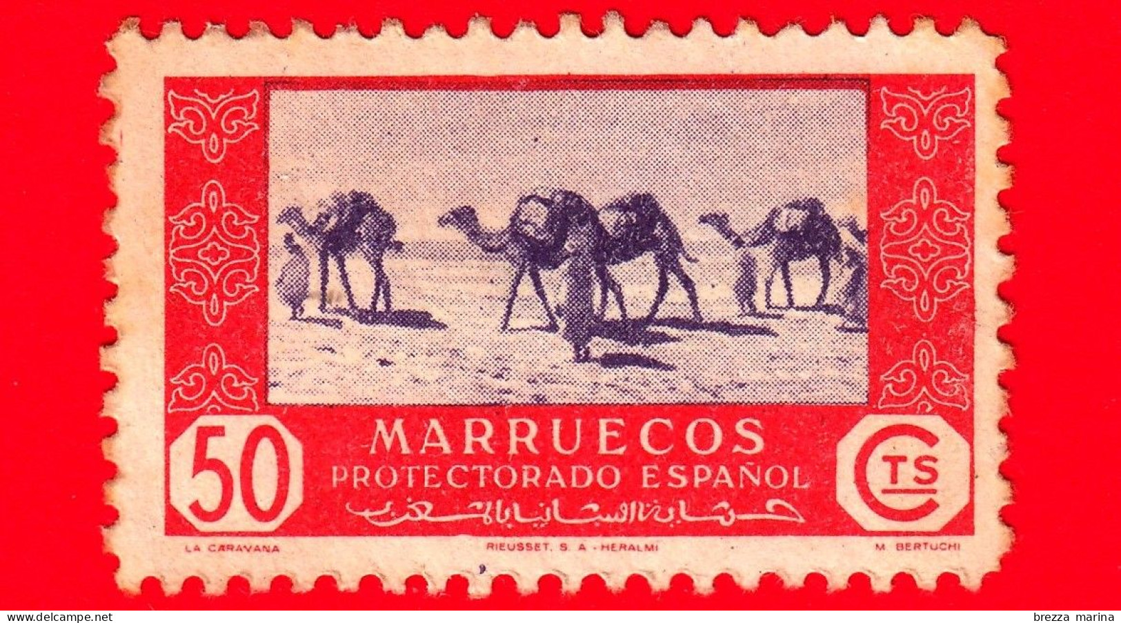 MAROCCO - Usato - Marruecos - 1951 - Dromedario (Camelus Dromedarius) Carovana - 50 - Spanish Morocco