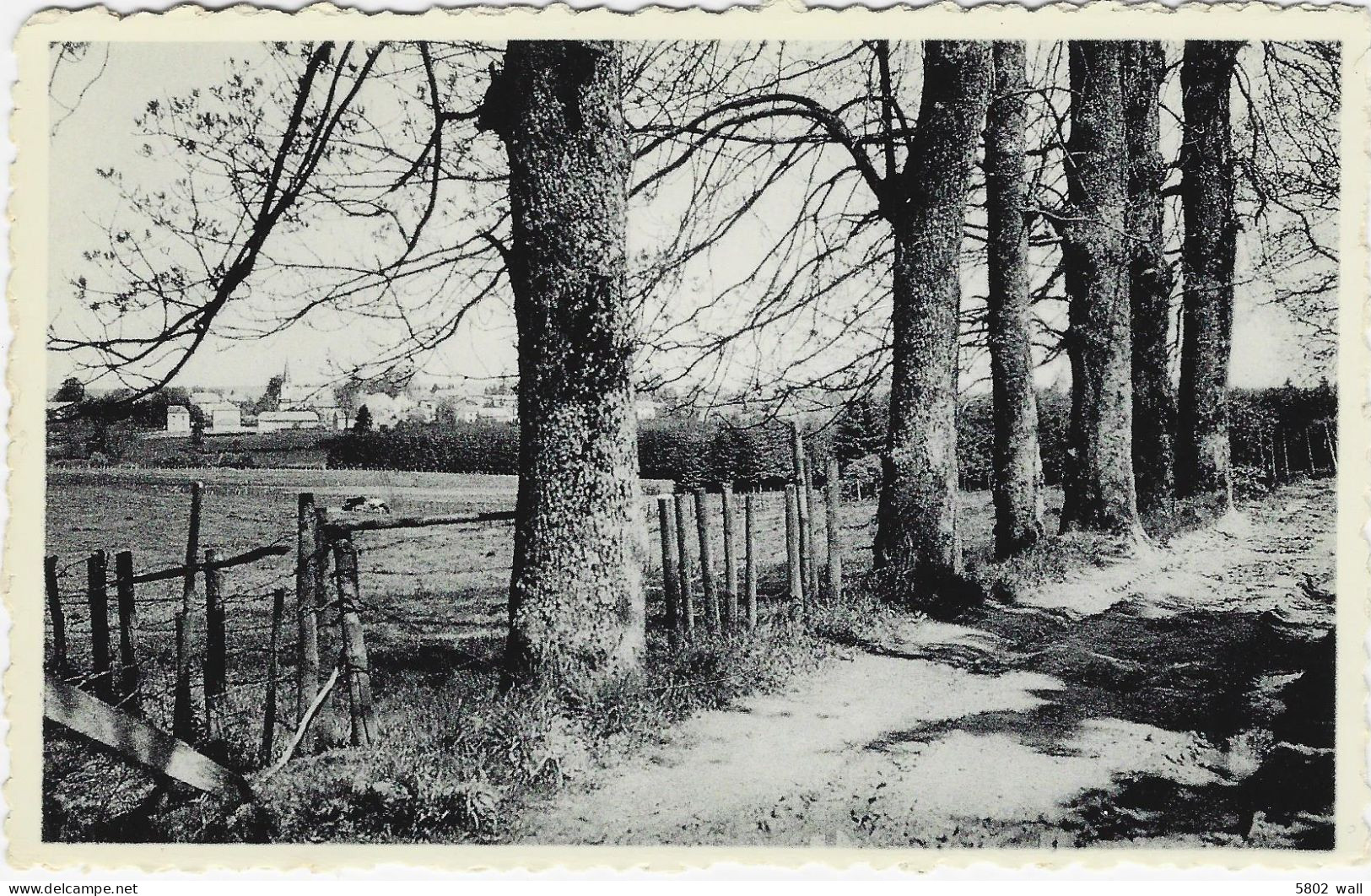 GOUVY-BEHO : Une Jolie Promenade - Gouvy