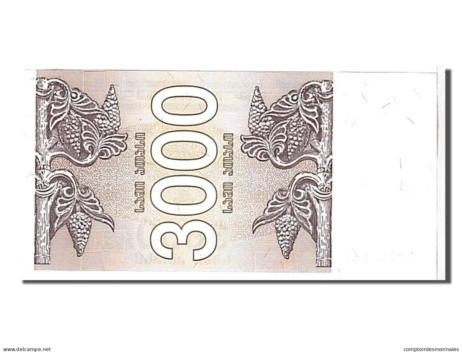 Billet, Géorgie, 3000 (Laris), 1993, NEUF - Georgien