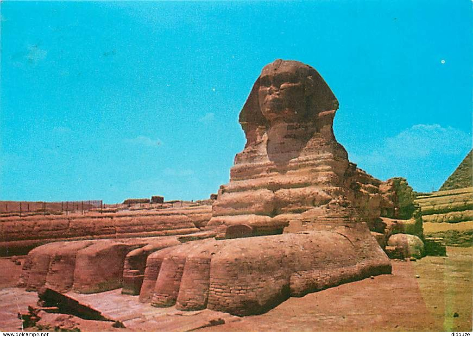 Egypte - Gizeh - Giza - The Famous Sphinx Of Giza - Voir Timbre - CPM - Voir Scans Recto-Verso - Gizeh