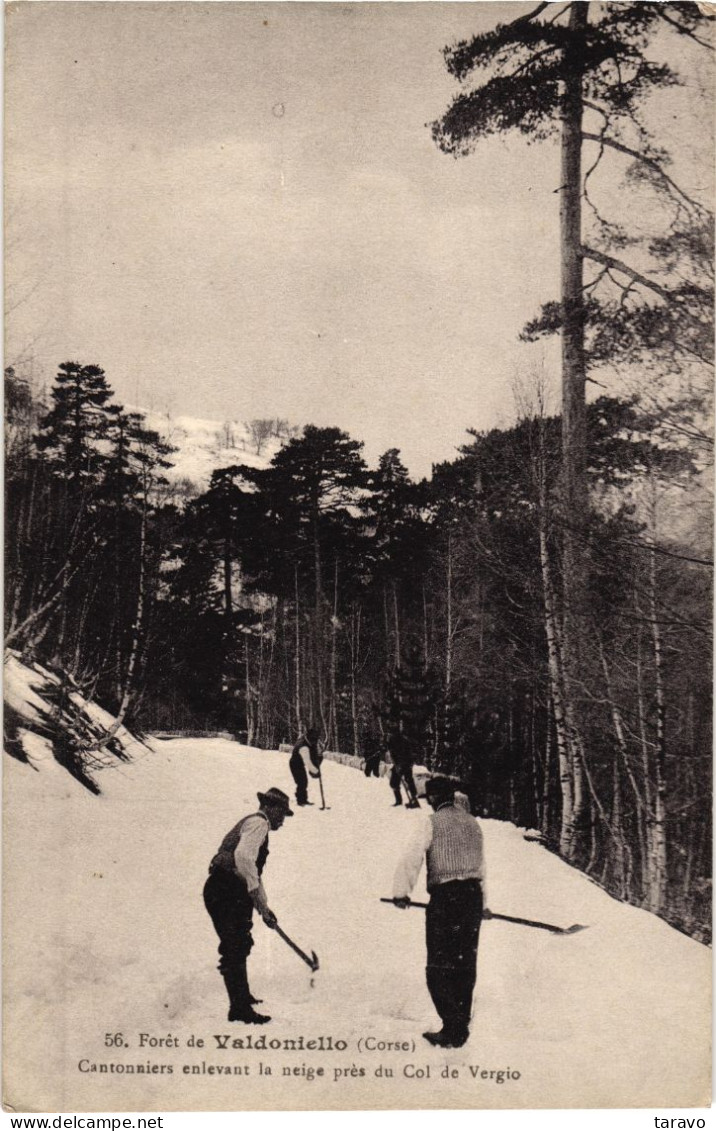 CORSE - Cantonniers Déblayant La Neige Près Du Col De Vergio (Forêt De Valdoniello / Calacuccia) - Ed. E. Breteau - Autres & Non Classés