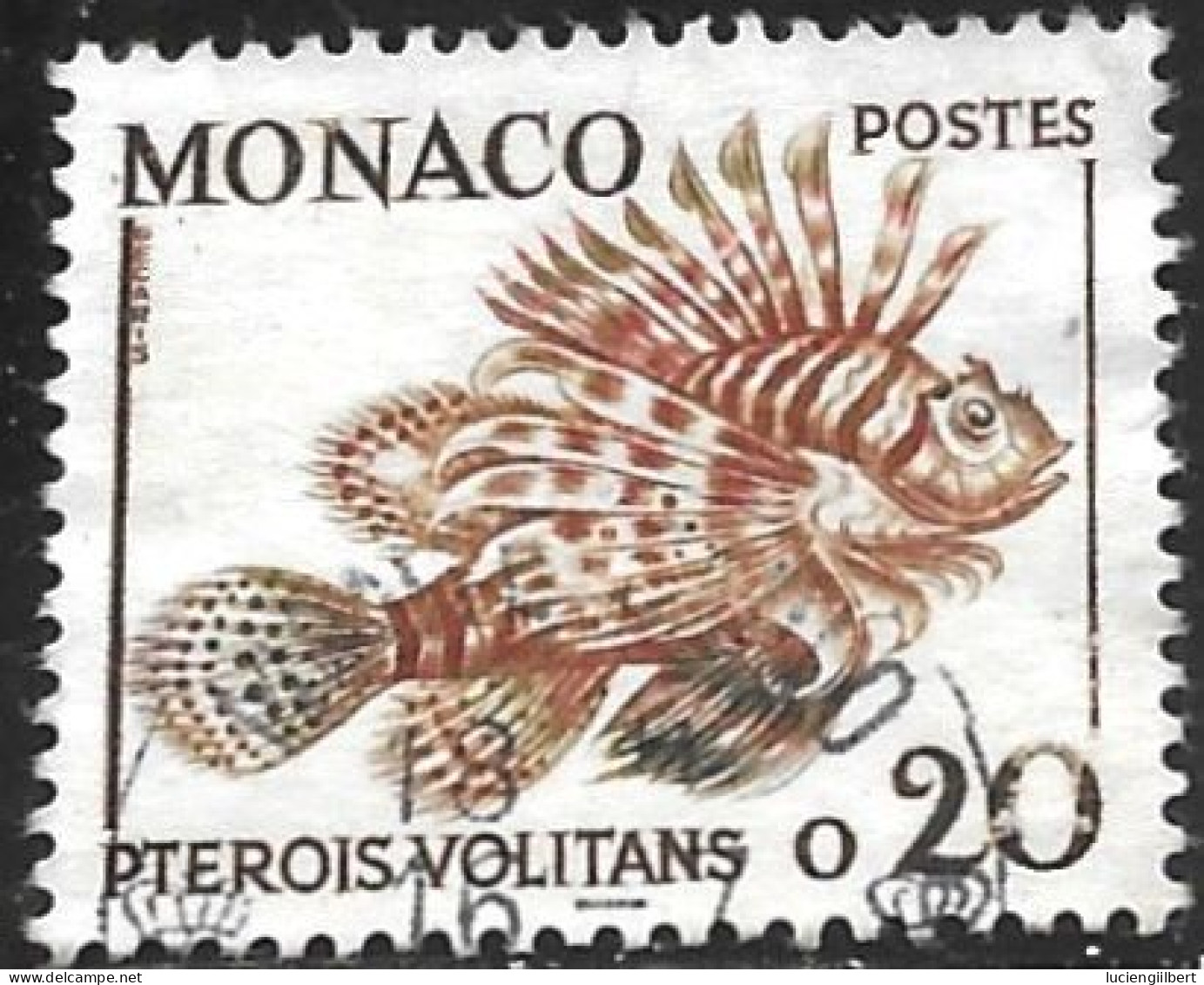 TIMBRE N° 542 -  PTEROIS VOLITANS          -   OBLITERE  -  1960 / 1965 - Used Stamps