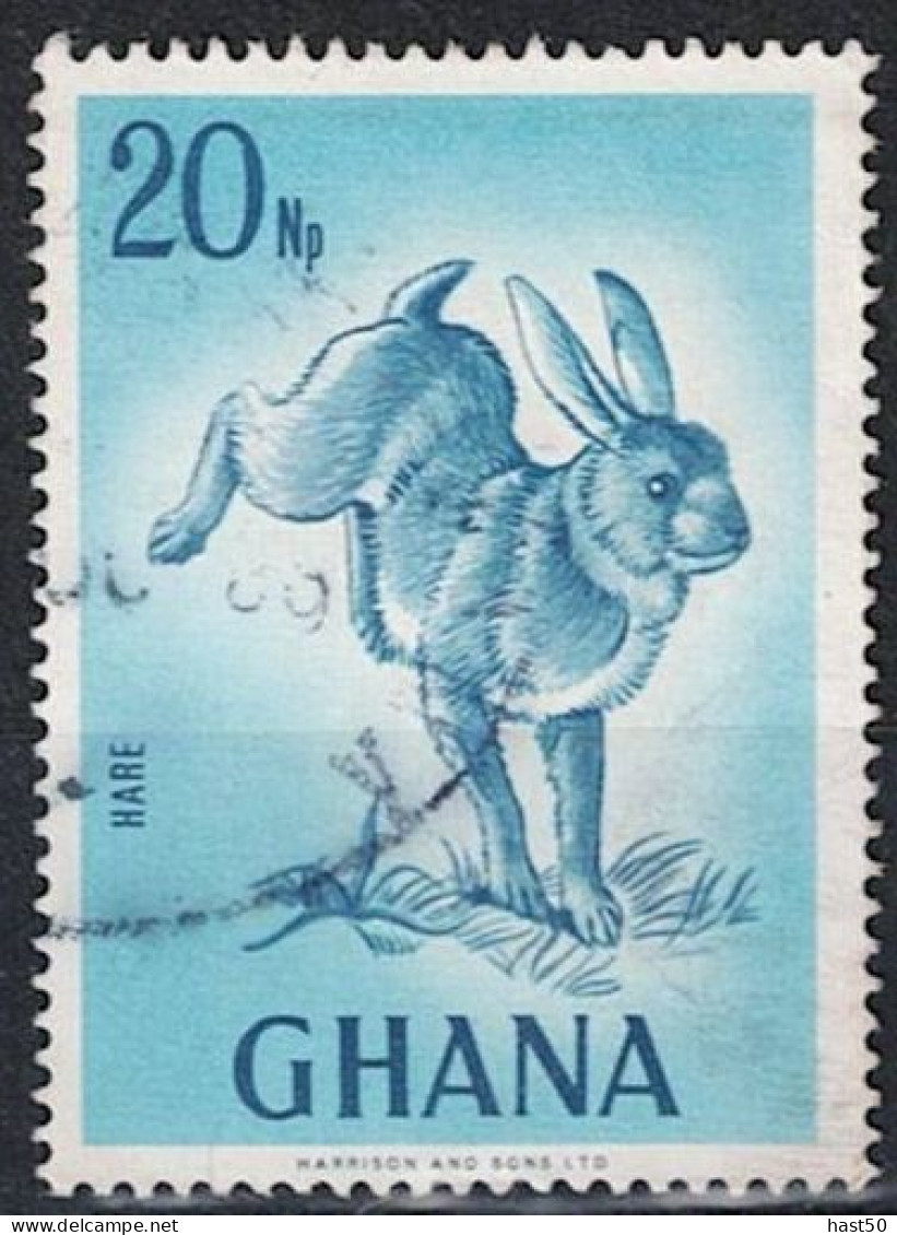 Ghana -  Feldhase (Lepus Capensis) (Mi.Nr: 316X) 1967 - Gest Used Obl - Ghana (1957-...)
