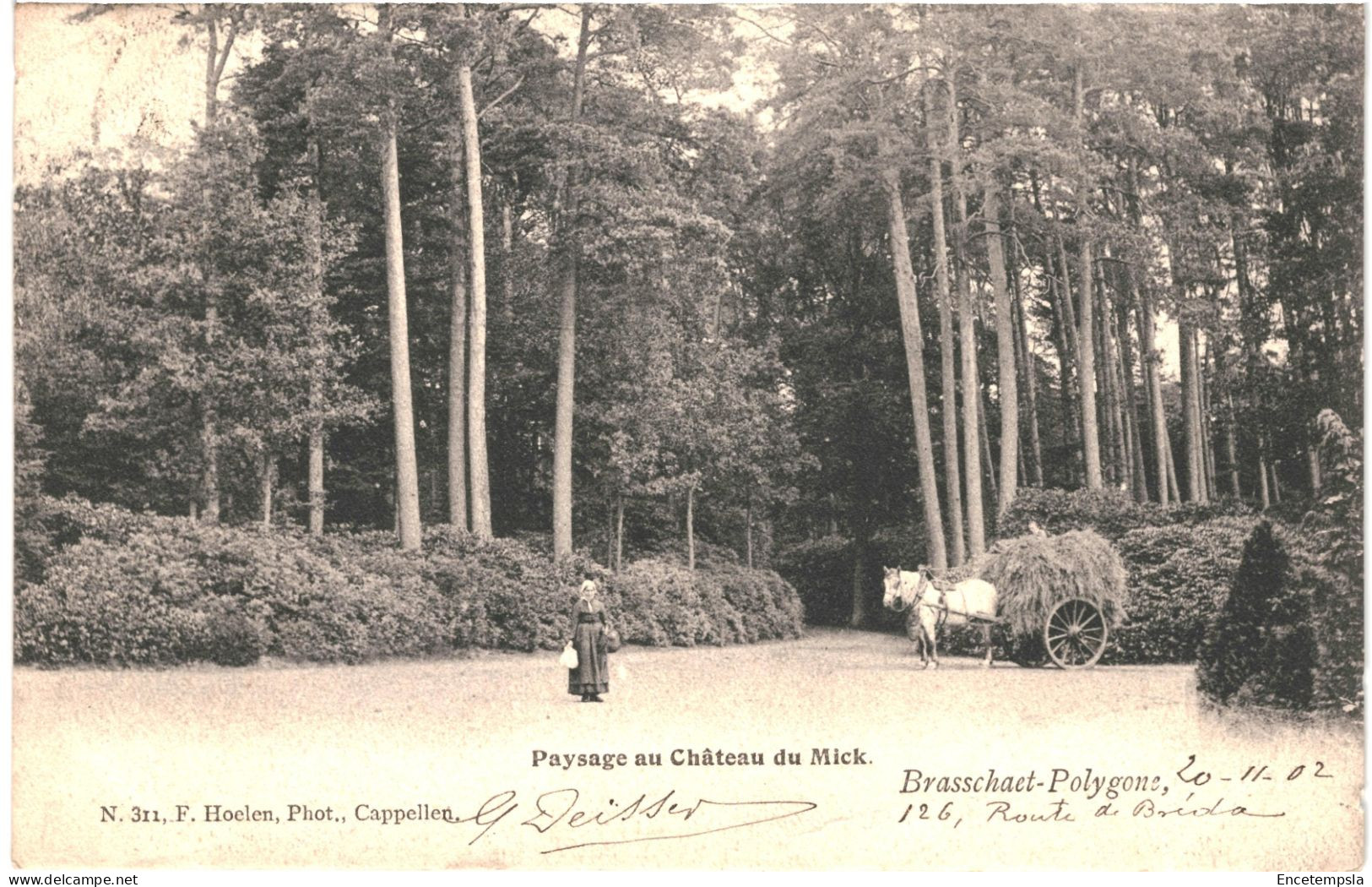 CPA Carte Postale Belgique Brasschaet Polygone Paysage Au Château Du Mick 1902  VM78677 - Brasschaat