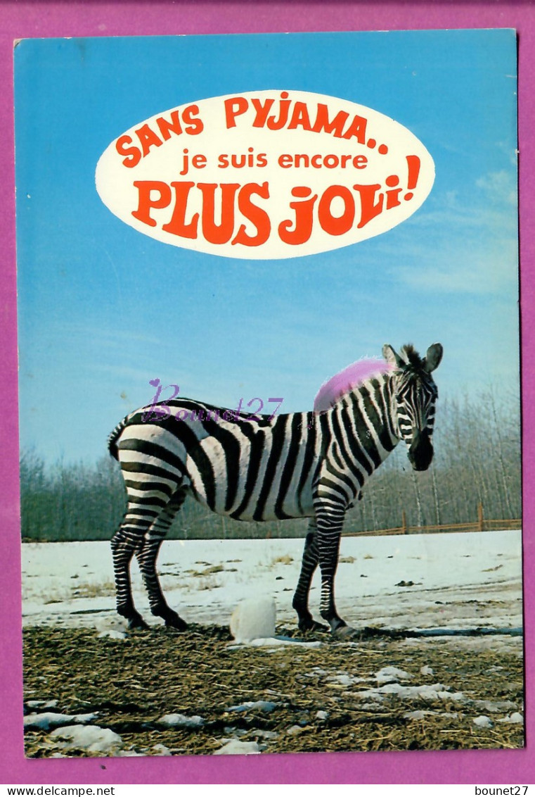 ANIMAUX - Animal Un Zebre Gumour Sans Pyjama Je Suis Encore Plus Jolie Neige Hiver Glace - Zèbres