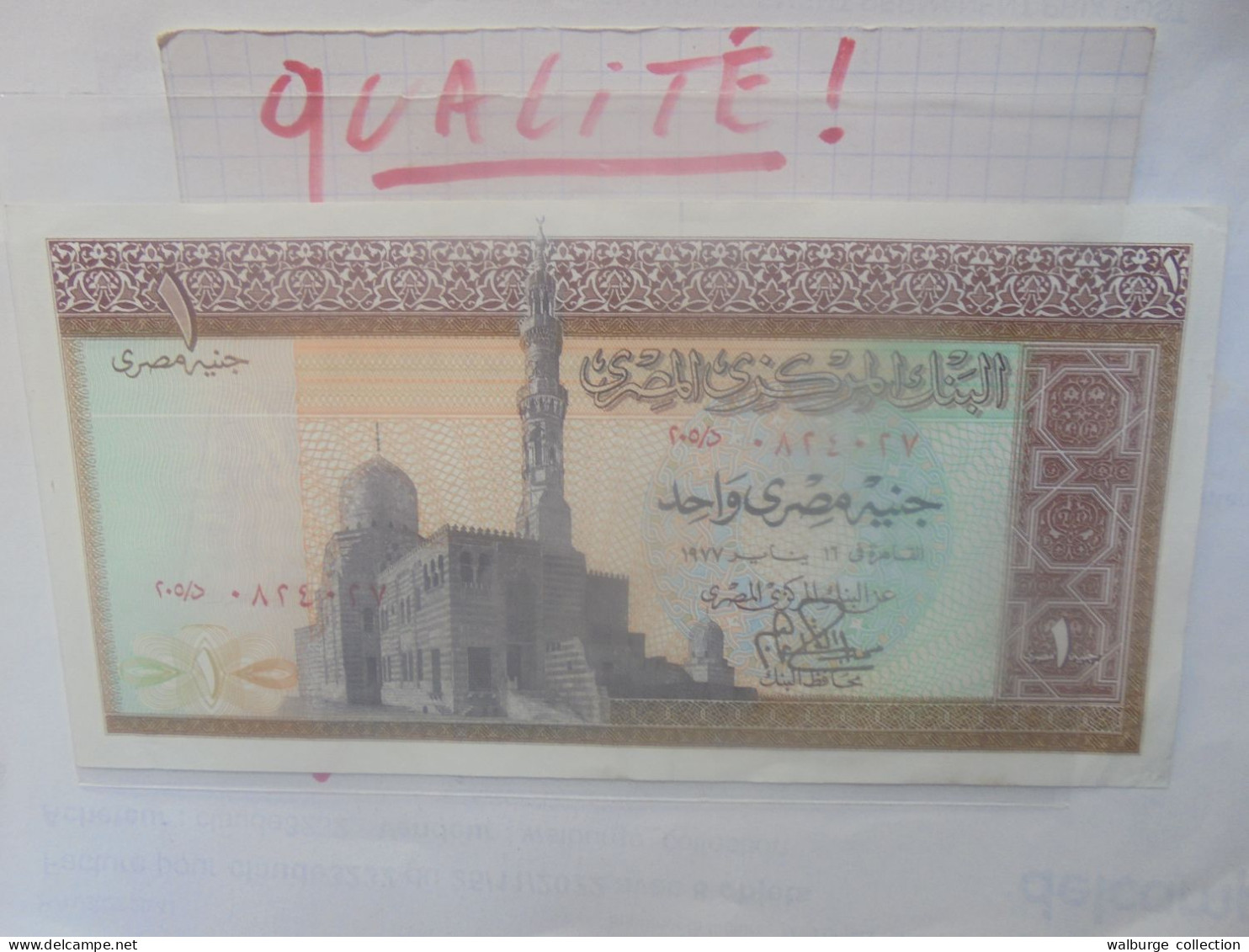 EGYPTE 1 POUND 1967-78 Circuler Belle Qualité (B.33) - Egypt