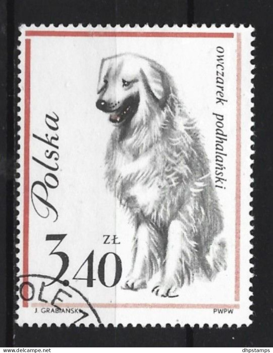 Polen 1963 Dog Y.T. 1239 (0) - Gebraucht
