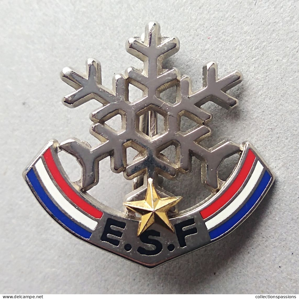 - Broche. Insigne. Ski. ESF - 1 étoile - - Winter Sports