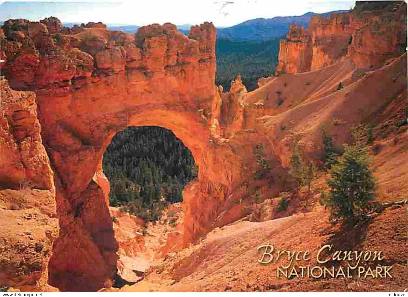 Etats Unis - Bryce Canyon - National Park - CPM - Voir Scans Recto-Verso - Bryce Canyon