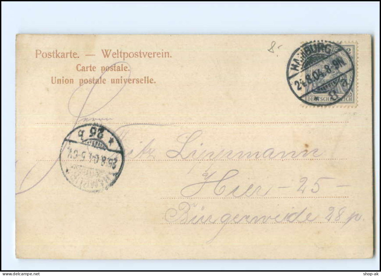 Y22268/ Hamburg Vierlanden  Kühe  AK 1904 - Bergedorf