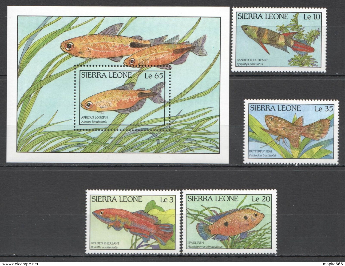 B0297 Sierra Leone Fish & Marine Life Fauna #1081-85 1Set+1Bl Mnh - Marine Life