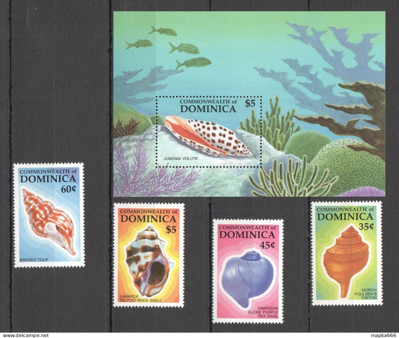 B0360 1987 Dominica Marine Life Seashells #1031-34 1Set+1Bl Mnh - Marine Life