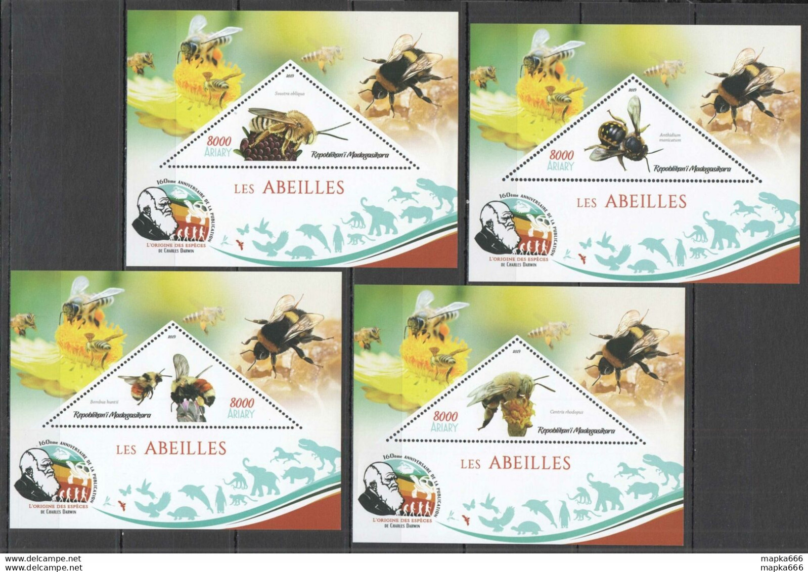J400 2019 Honey Bees Insects Charles Darwin Publication 4Bl Mnh - Abeilles