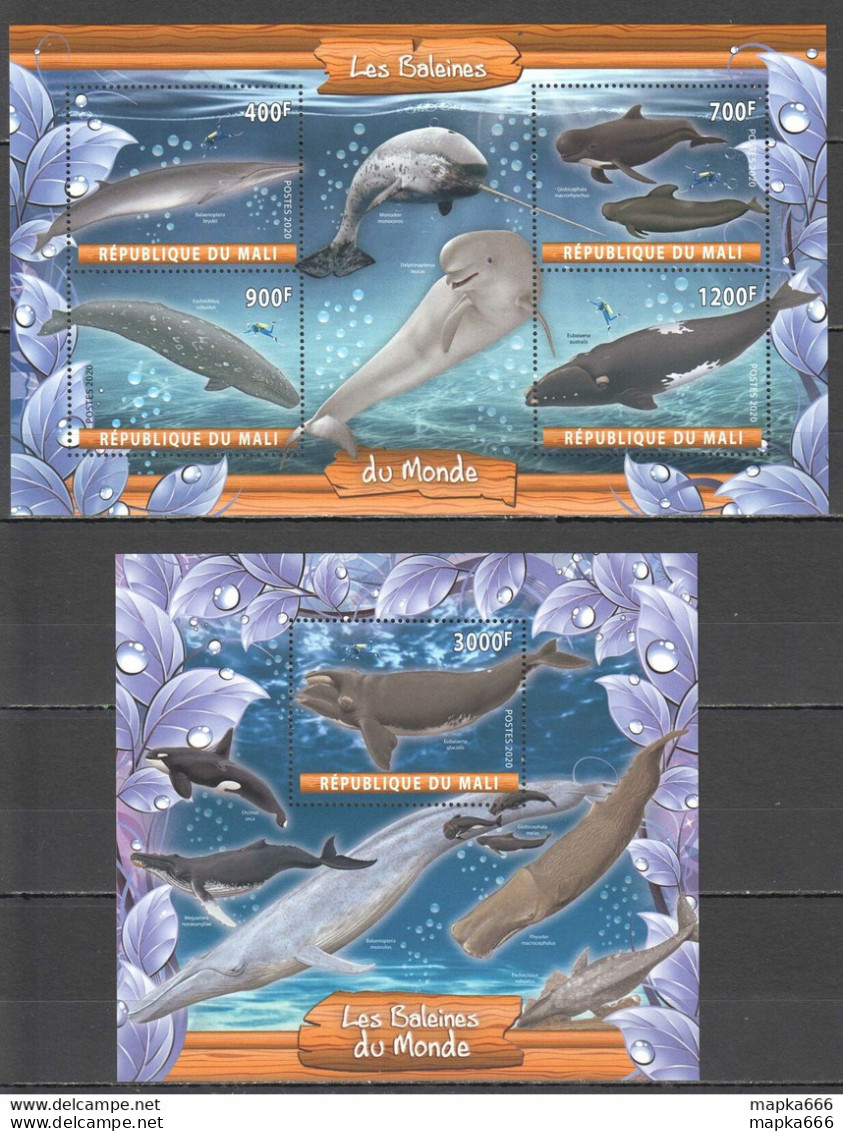 J537 2020 Fauna Marine Life Whales Of The World 1Kb+1Bl Mnh - Marine Life