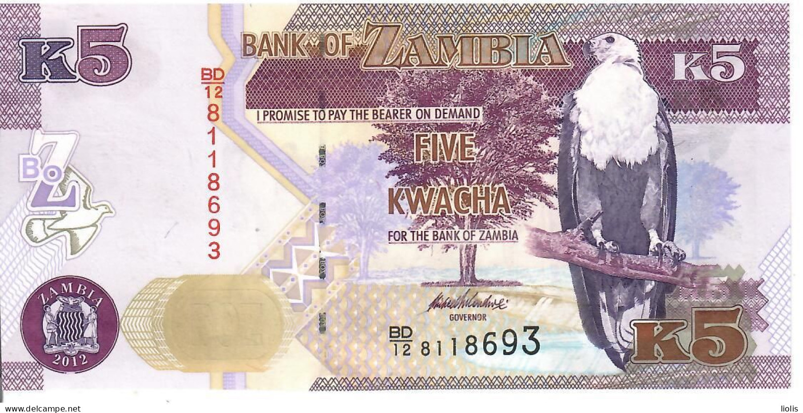 Zambia P-50  5 Kwacha 2012 UNC - Sambia