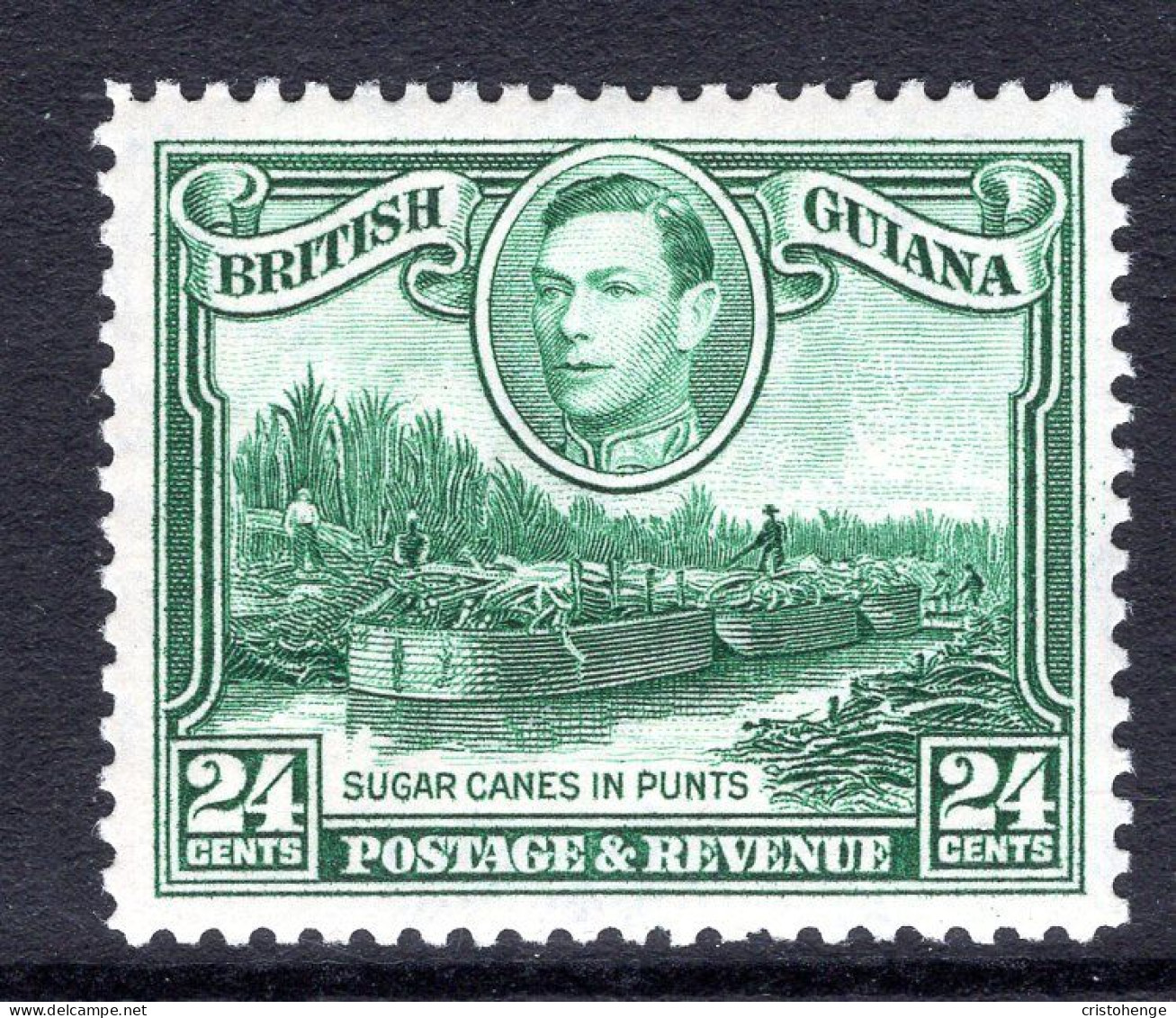 British Guiana 1938-52 KGVI Pictorials - 24c Sugar Cane In Punts - Wmk. Upright HM (SG 312) - Brits-Guiana (...-1966)