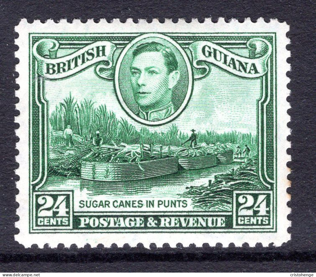 British Guiana 1938-52 KGVI Pictorials - 24c Sugar Cane In Punts - Wmk. Upright HM (SG 312) - Guyana Britannica (...-1966)