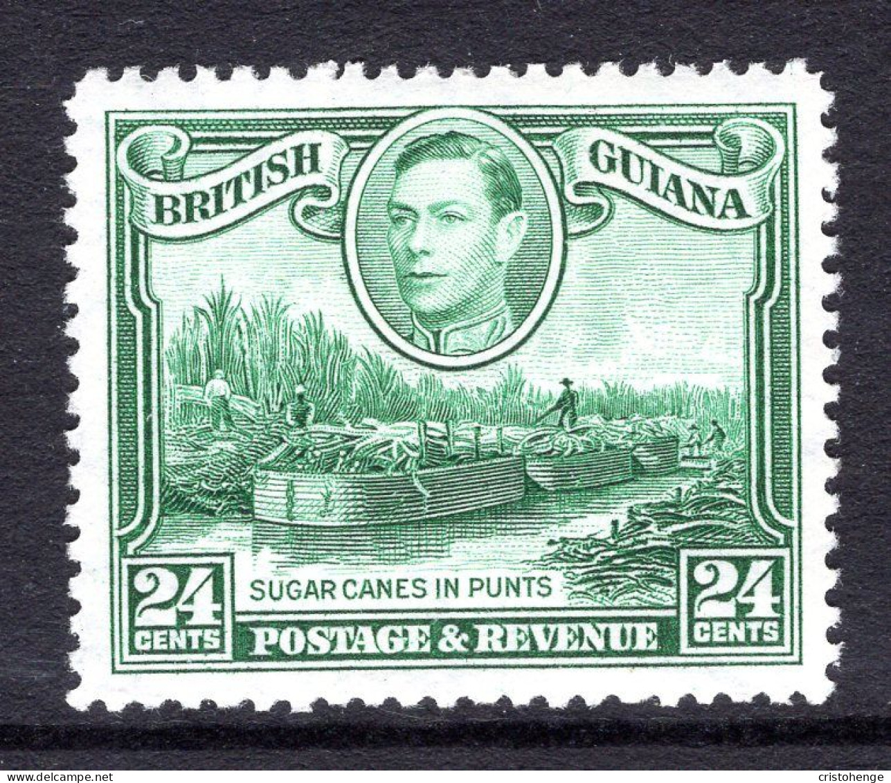 British Guiana 1938-52 KGVI Pictorials - 24c Sugar Cane In Punts - Wmk. Sideways HM (SG 312a) - British Guiana (...-1966)