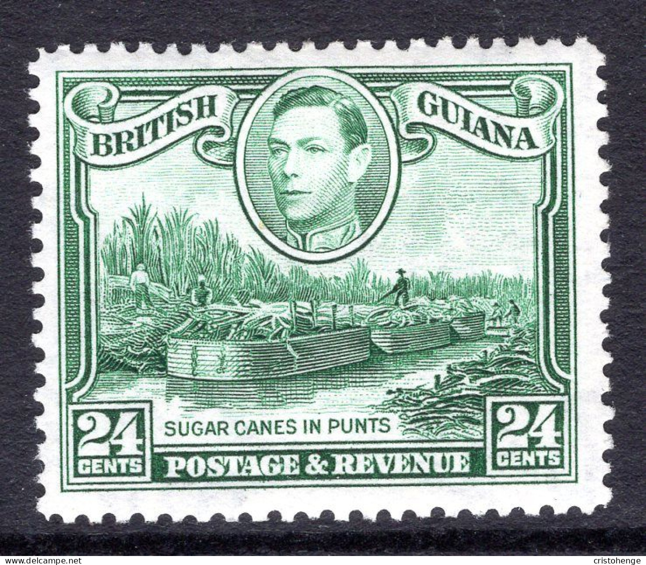 British Guiana 1938-52 KGVI Pictorials - 24c Sugar Cane In Punts - Wmk. Sideways HM (SG 312a) - Guyana Britannica (...-1966)