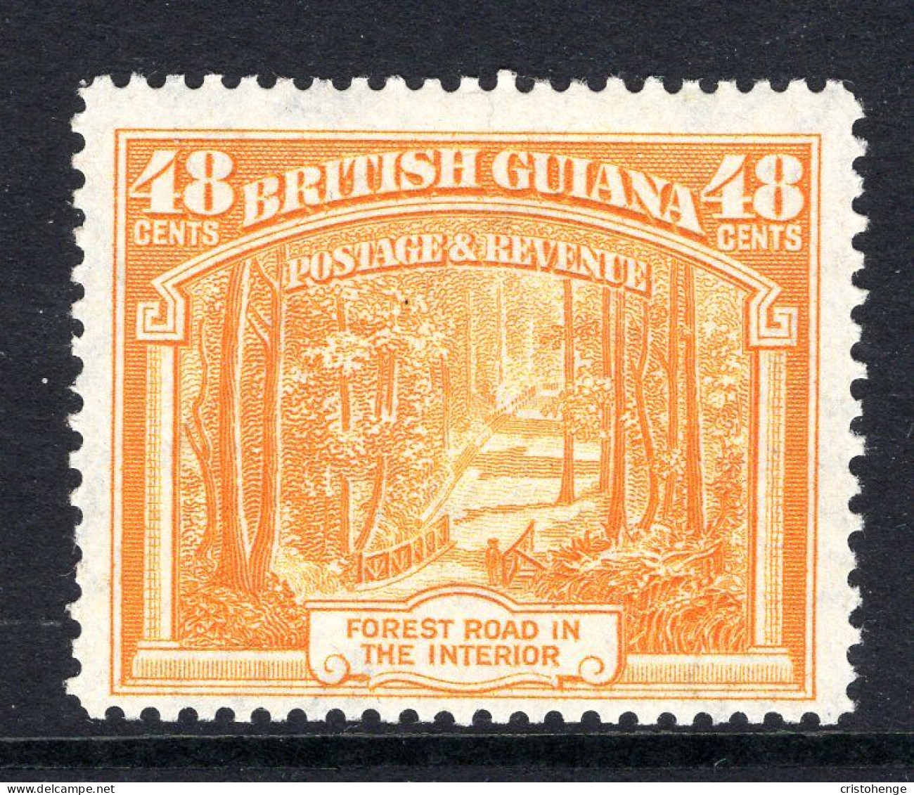 British Guiana 1938-52 KGVI Pictorials - 48c Forest Road - P.12½ HM (SG 314) - Guayana Británica (...-1966)