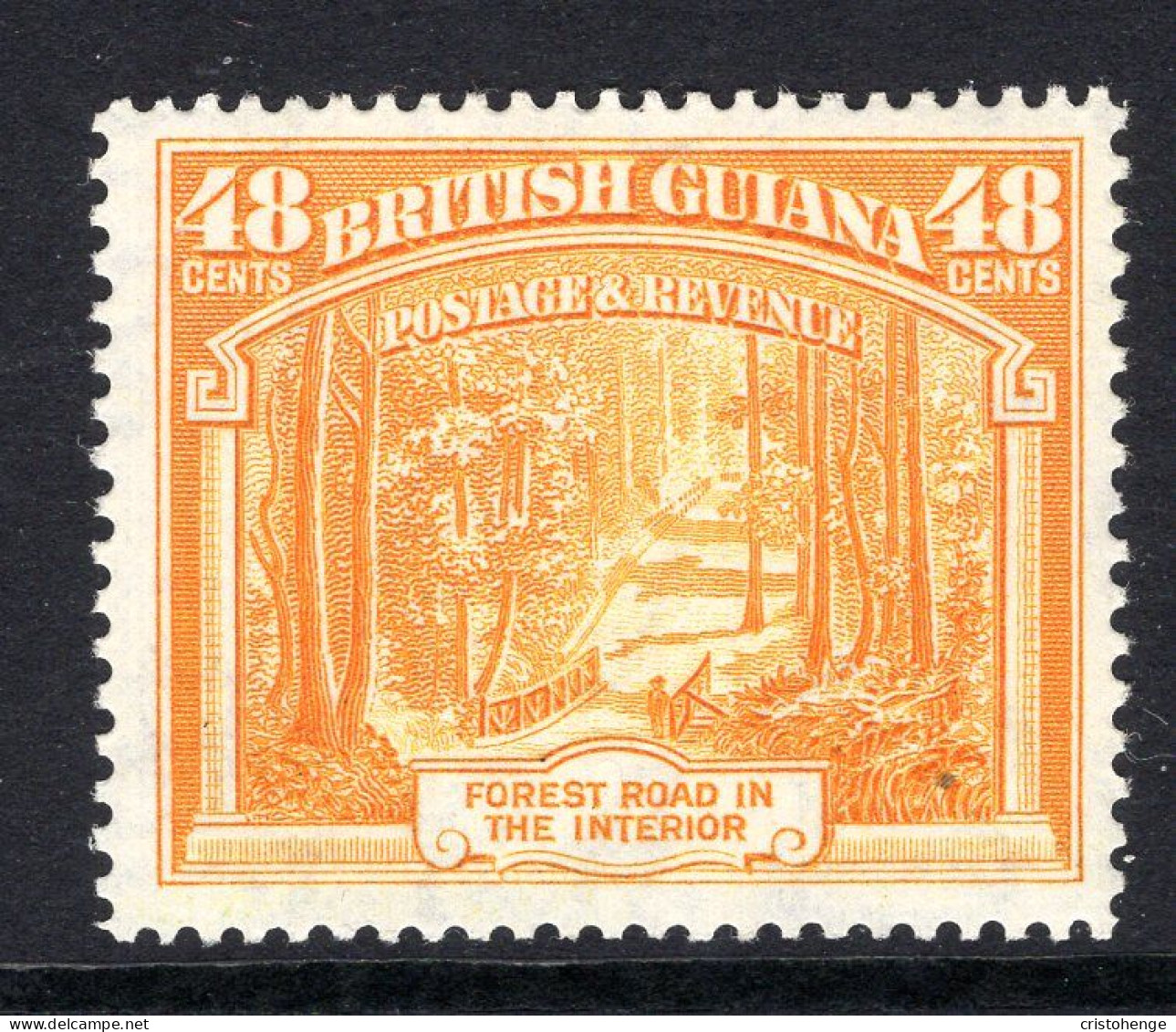 British Guiana 1938-52 KGVI Pictorials - 48c Forest Road - P.14 X 13 HM (SG 314a) - Guayana Británica (...-1966)