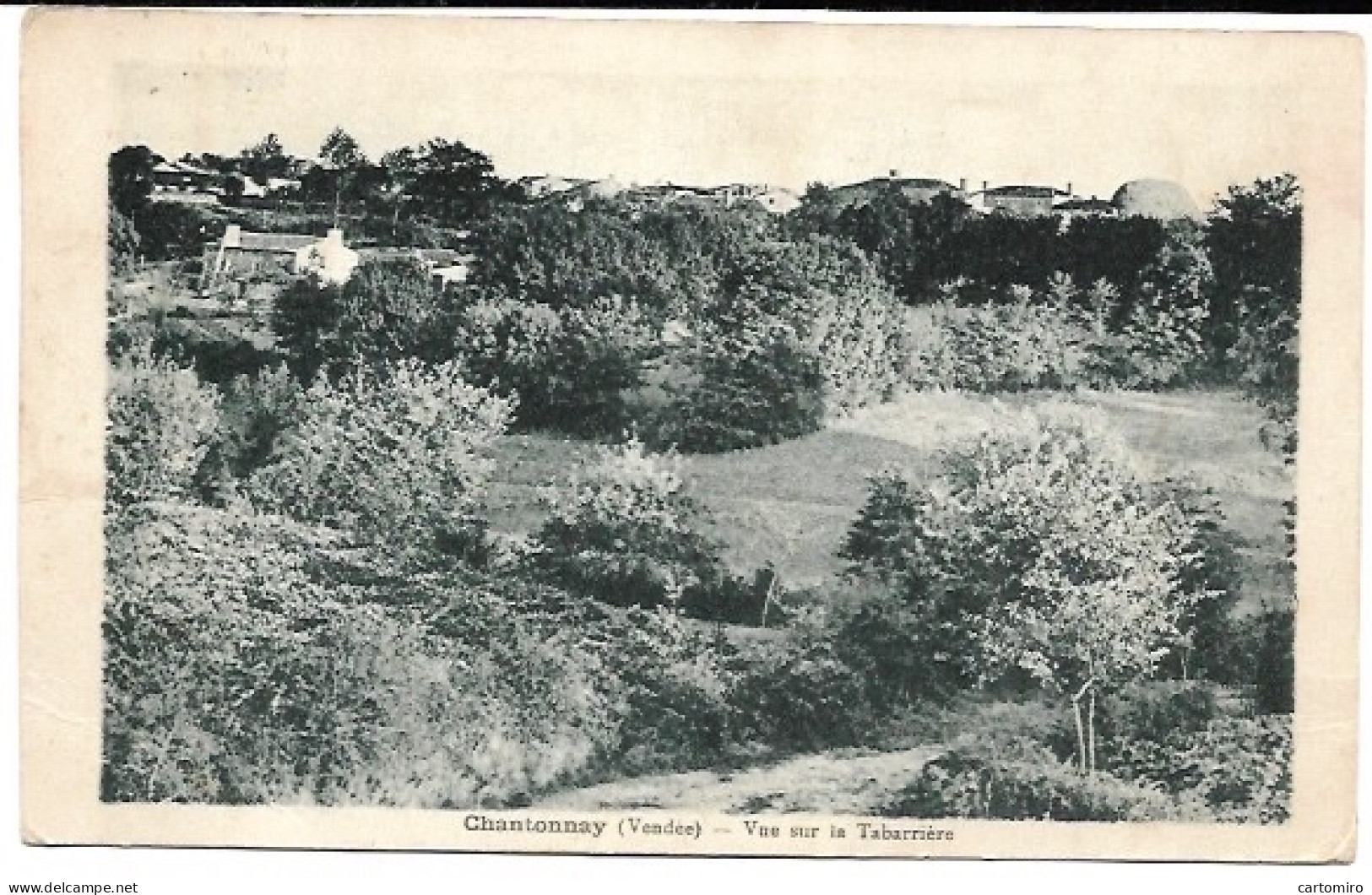 85 Chantonnay - Vue Sur La Tabarrière - Chantonnay