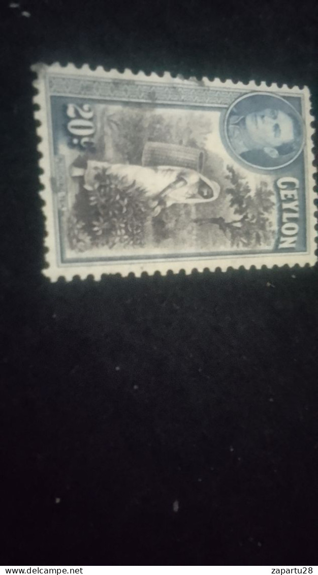 CEYLON- 1938 -49       20  C     GEORGE    VI..      DAMGALI - Sri Lanka (Ceylon) (1948-...)