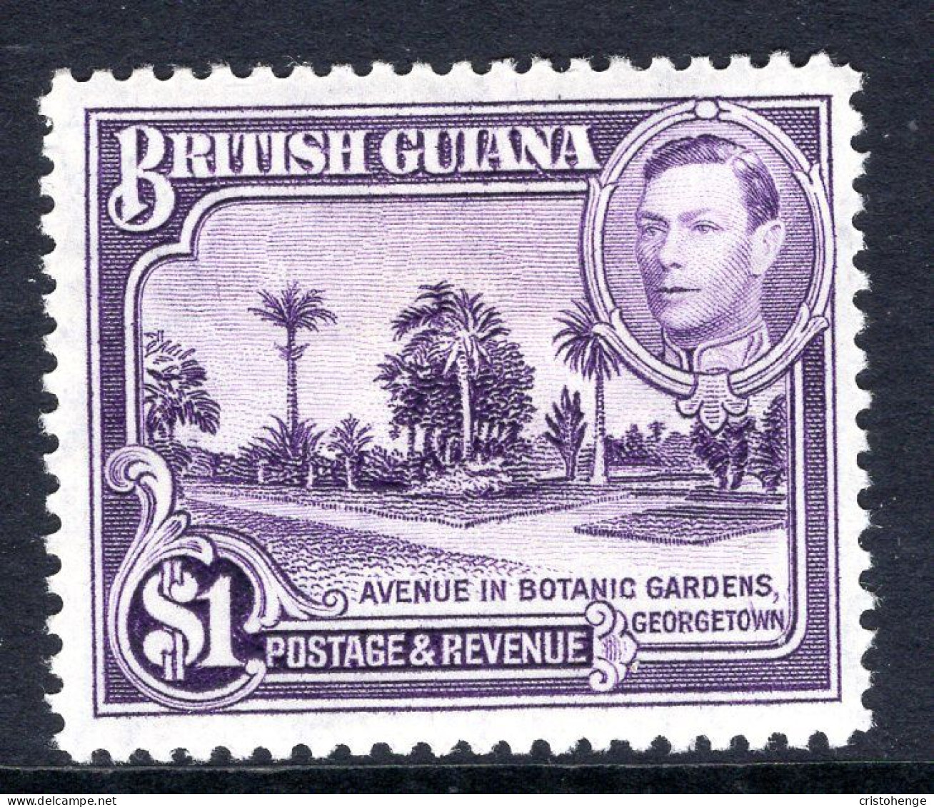 British Guiana 1938-52 KGVI Pictorials - $1 Botanical Gardens - P.12½ HM (SG 317) - British Guiana (...-1966)