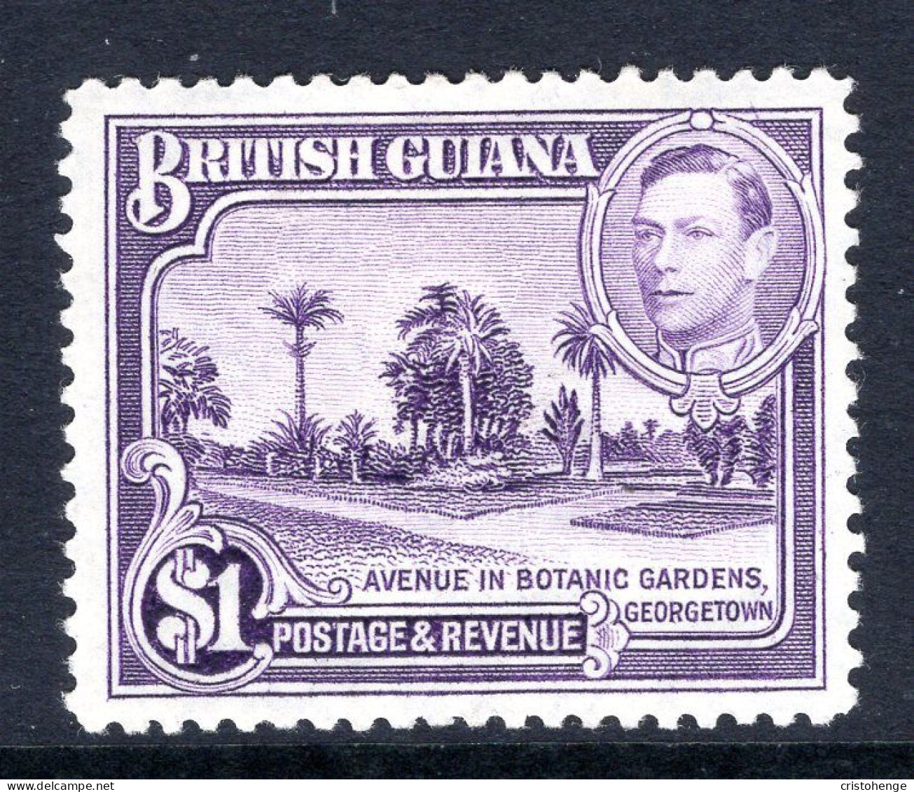 British Guiana 1938-52 KGVI Pictorials - $1 Botanical Gardens - P.12½ HM (SG 317) - Guayana Británica (...-1966)