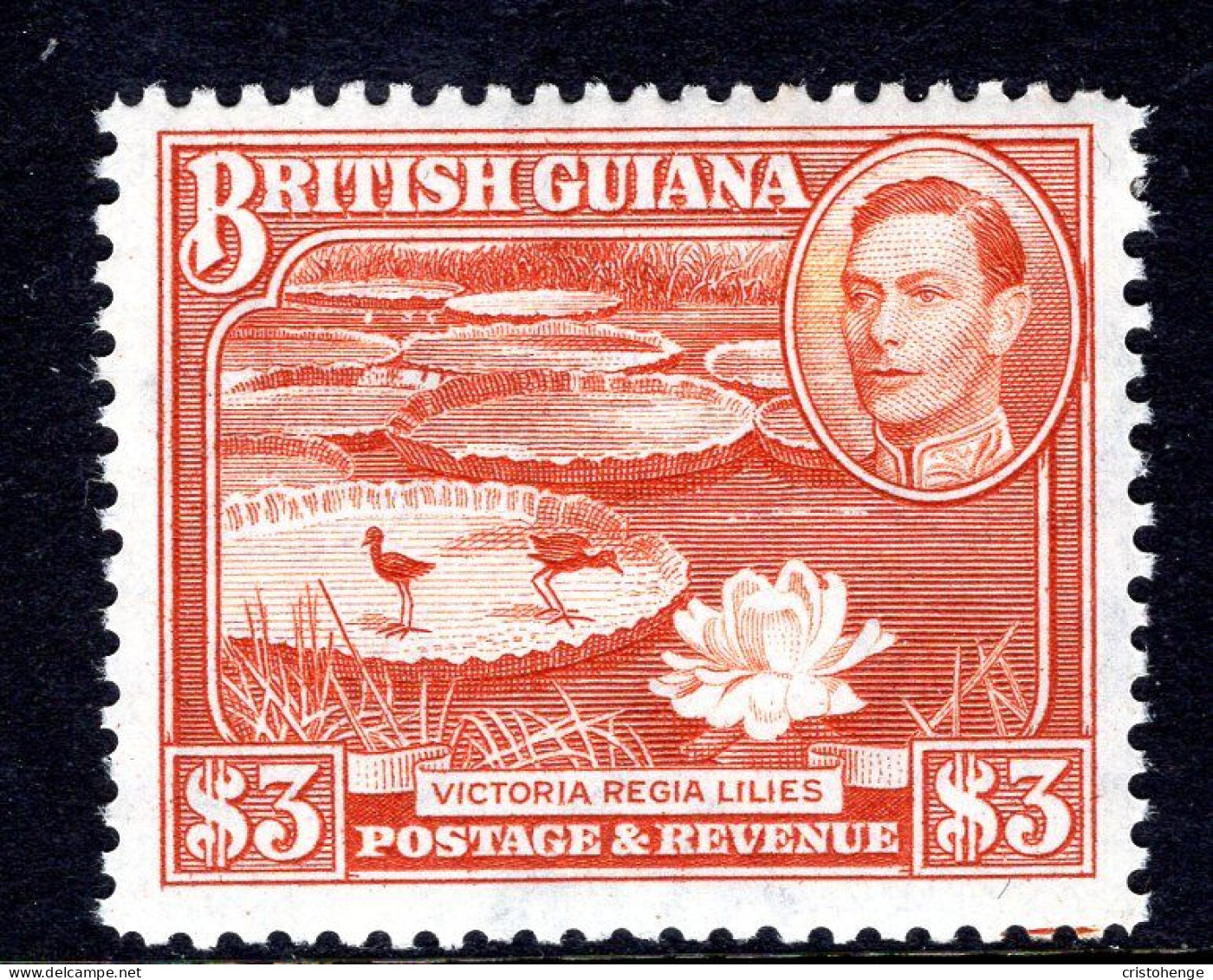 British Guiana 1938-52 KGVI Pictorials - $3 Water Lilies - P.12½ - Bright Red-brown HM (SG 319a) - Guyana Britannica (...-1966)
